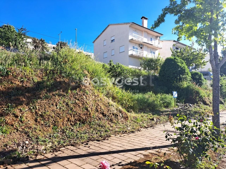 Terreno para Venda em Torre de Moncorvo Foto 8