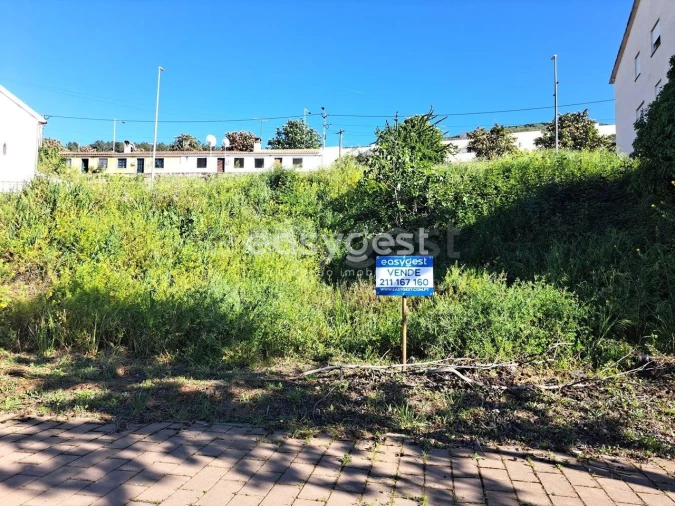 Terreno para Venda em Torre de Moncorvo Foto 4