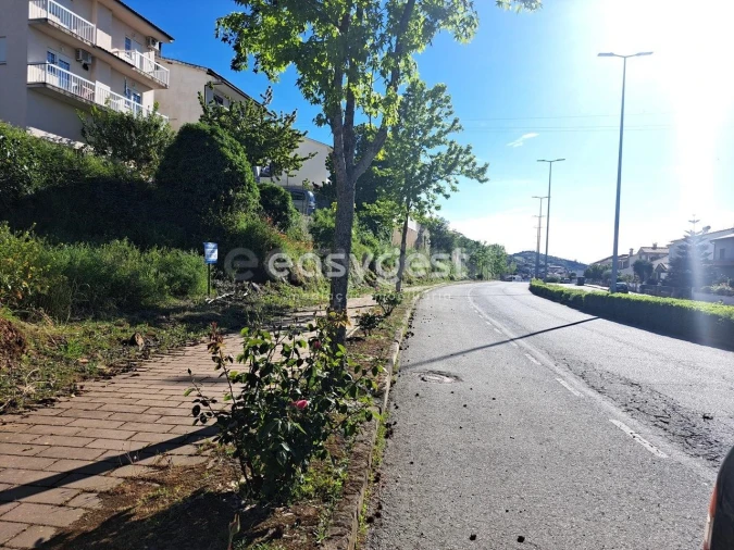 Terreno para Venda em Torre de Moncorvo Foto 9