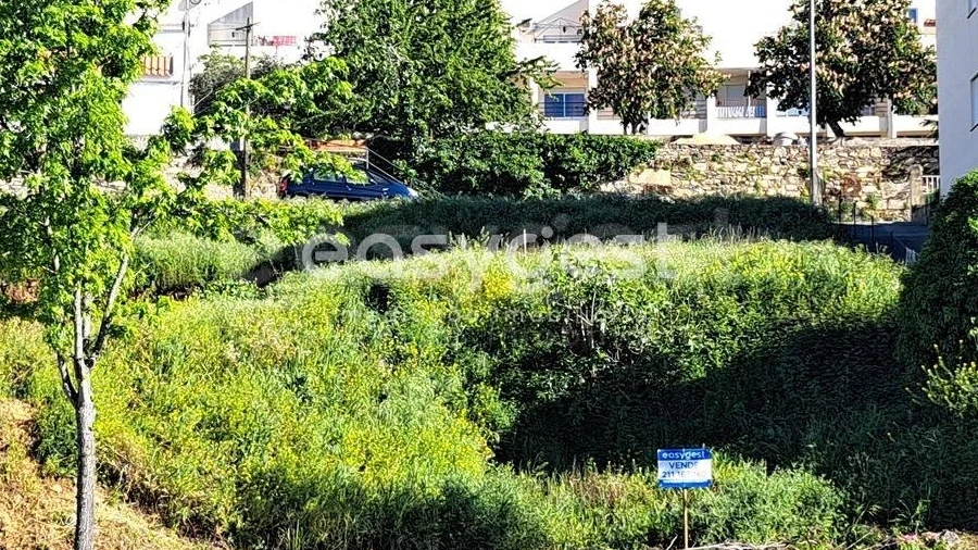 Terreno para Venda em Torre de Moncorvo