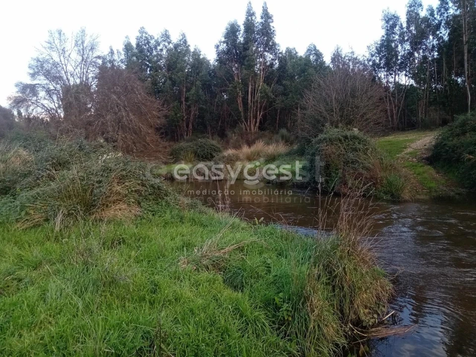 Terreno Agricola ou Rústico para Venda em Castelo Branco Foto 2