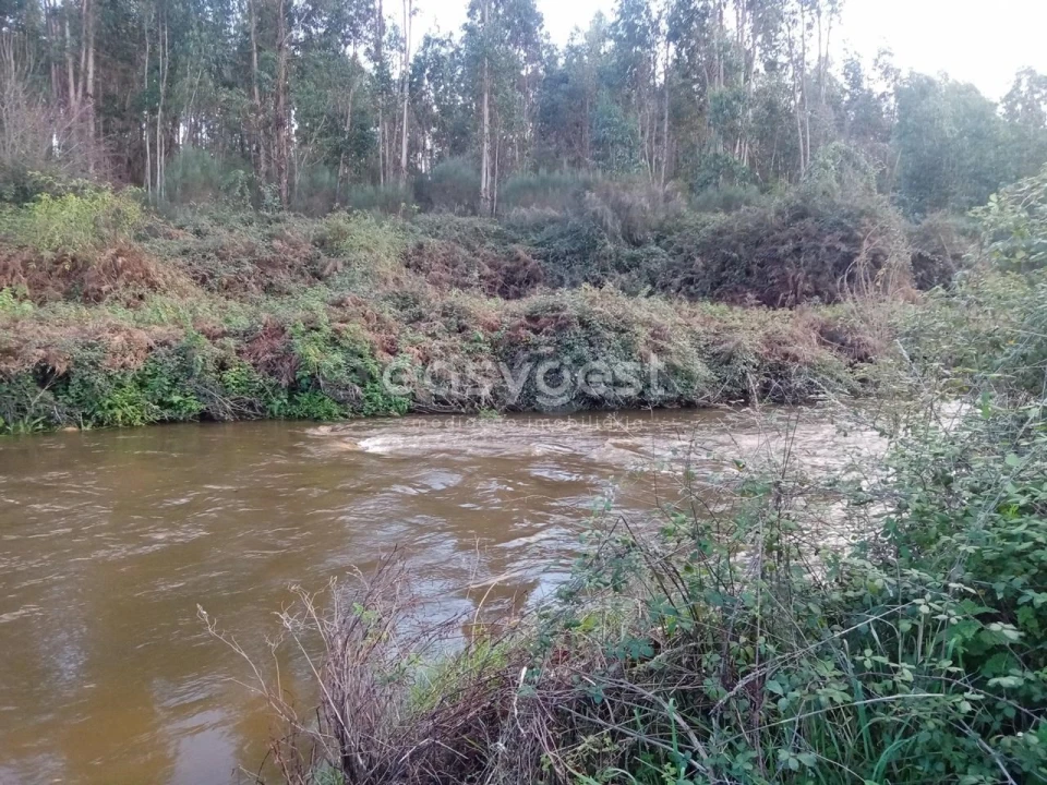 Terreno Agricola ou Rústico para Venda em Castelo Branco Foto 4