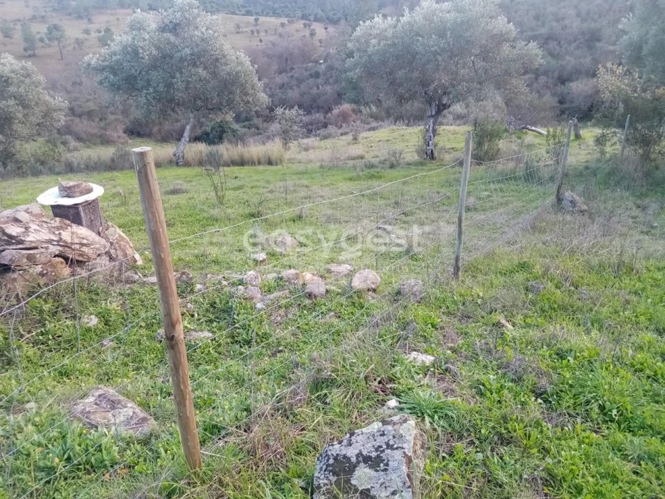 Terreno Agricola ou Rústico para Venda em Castelo Branco Foto 8