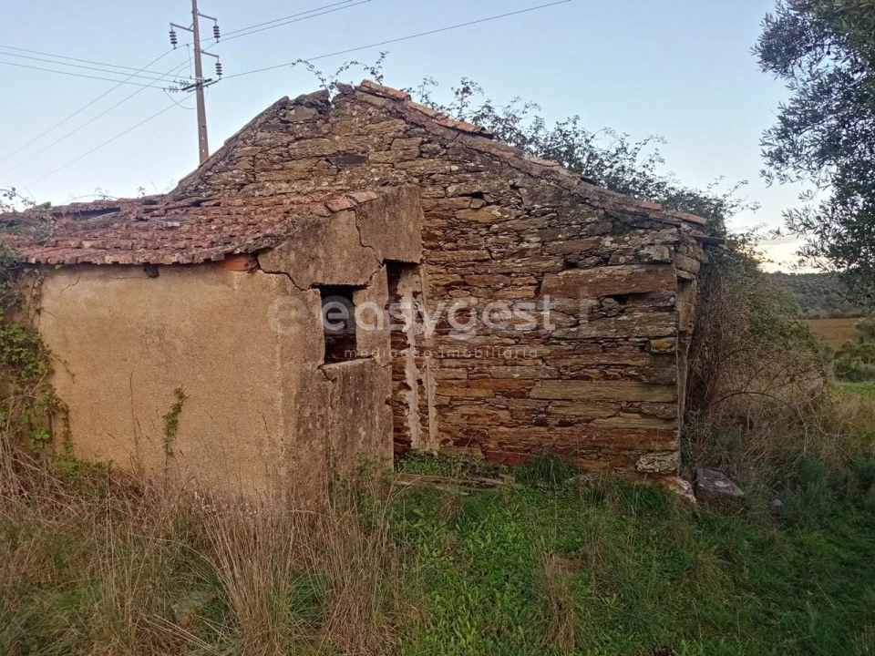 Terreno Agricola ou Rústico para Venda em Castelo Branco Foto 9