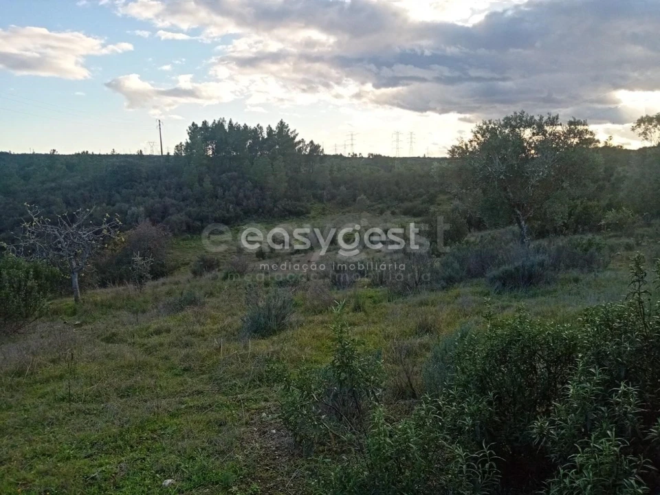 Terreno Agricola ou Rústico para Venda em Castelo Branco Foto 11