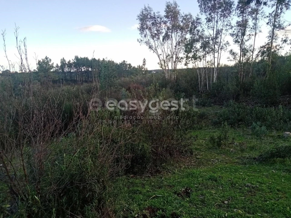 Terreno Agricola ou Rústico para Venda em Castelo Branco Foto 14