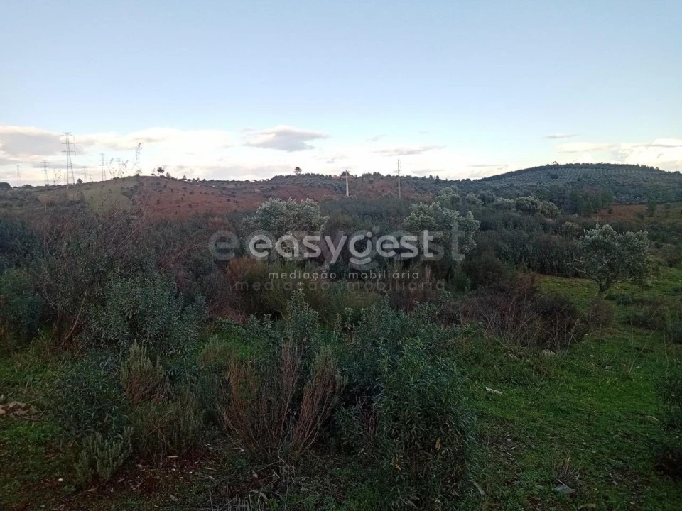Terreno Agricola ou Rústico para Venda em Castelo Branco Foto 17