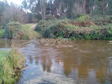 Terreno Agricola ou Rústico para Venda em Castelo Branco