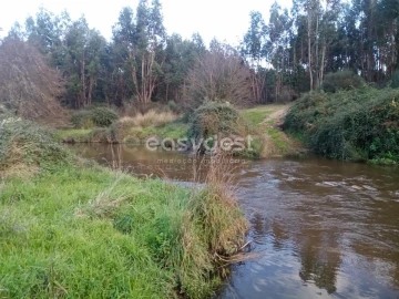 Terreno Agricola ou Rústico para Venda em Castelo Branco