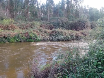 Terreno Agricola ou Rústico para Venda em Castelo Branco