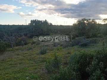 Terreno Agricola ou Rústico para Venda em Castelo Branco