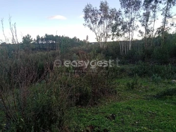 Terreno Agricola ou Rústico para Venda em Castelo Branco