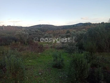 Terreno Agricola ou Rústico para Venda em Castelo Branco