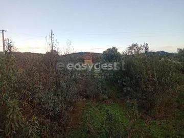 Terreno Agricola ou Rústico para Venda em Castelo Branco