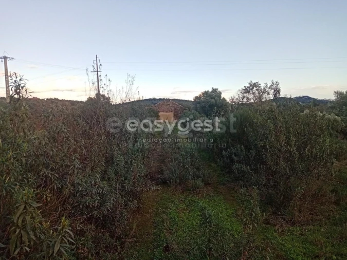 Terreno Agricola ou Rústico para Venda em Castelo Branco Foto 18