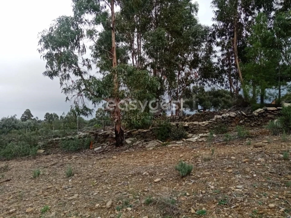 Terreno Agricola ou Rústico para Venda em Benquerenças Foto 1
