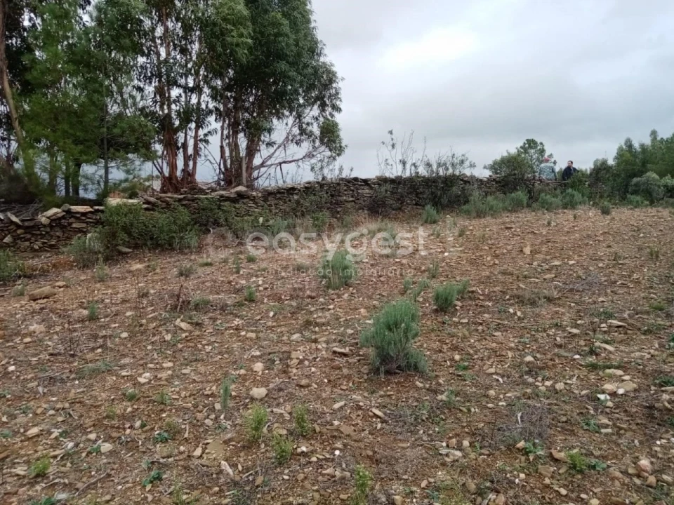 Terreno Agricola ou Rústico para Venda em Benquerenças Foto 6