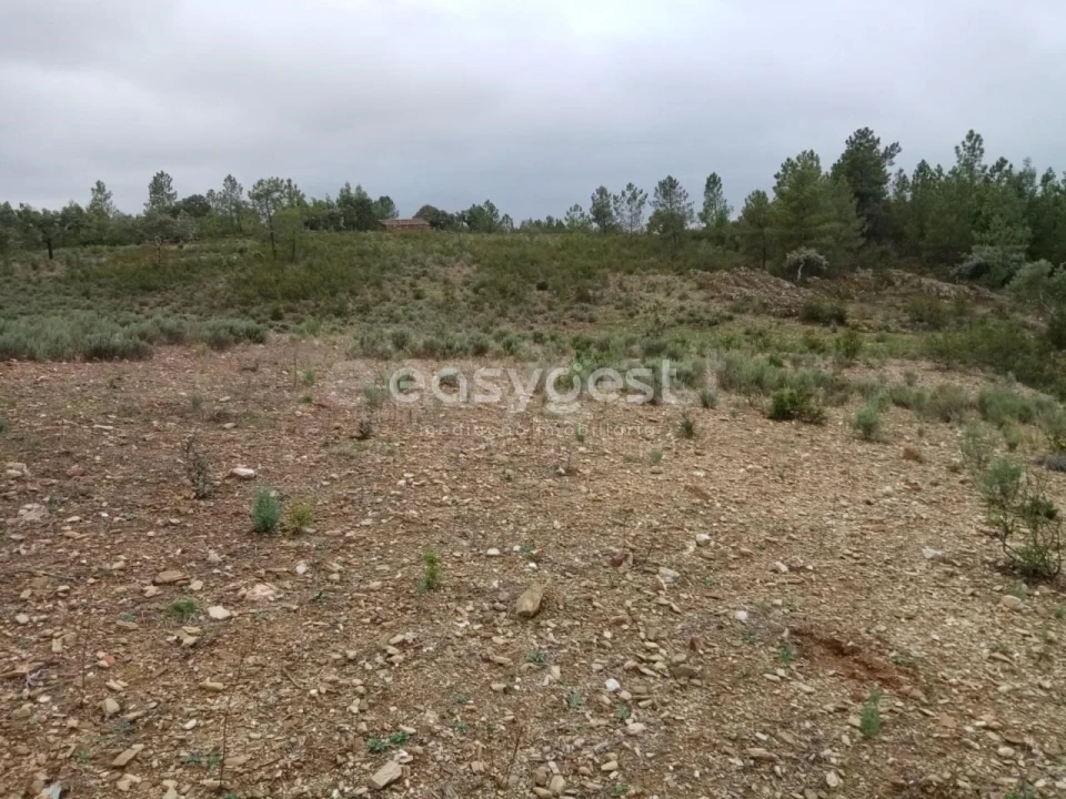Terreno Agricola ou Rústico para Venda em Benquerenças Foto 9