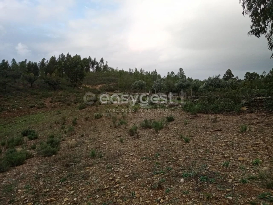 Terreno Agricola ou Rústico para Venda em Benquerenças Foto 10