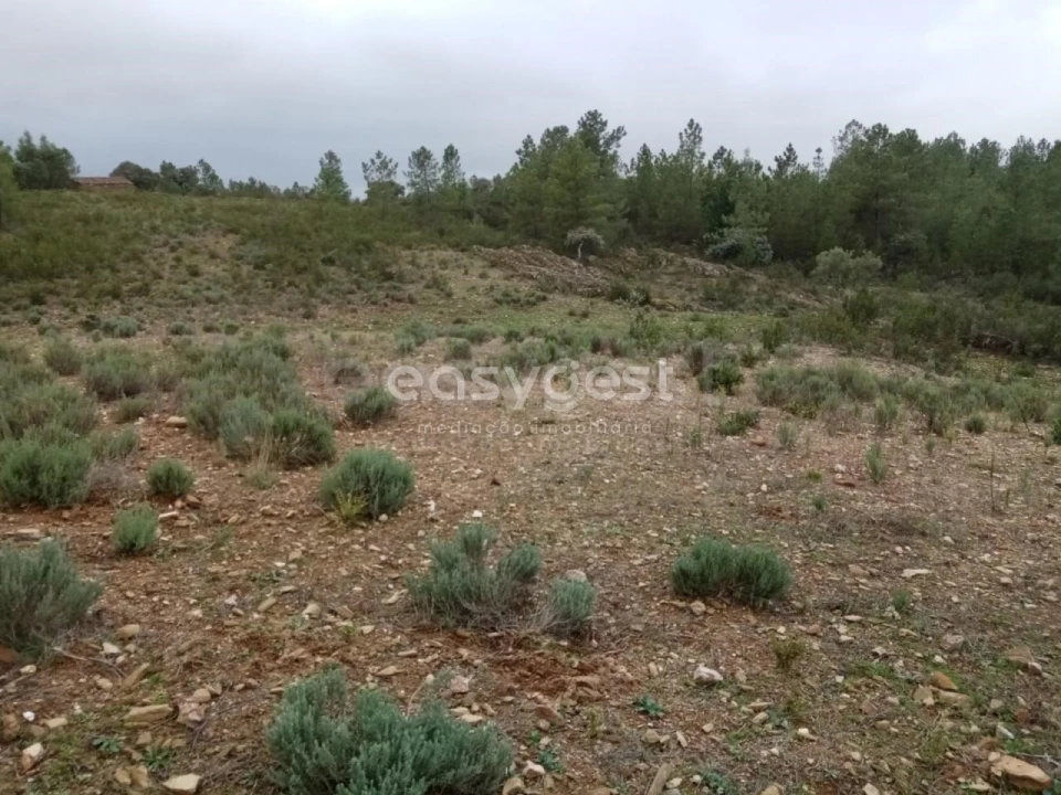 Terreno Agricola ou Rústico para Venda em Benquerenças Foto 13