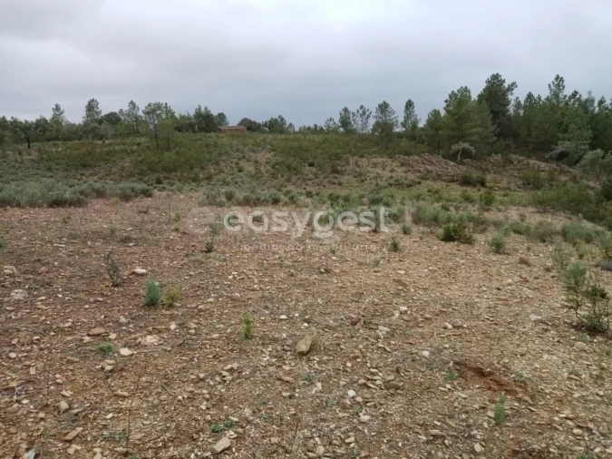 Terreno Agricola ou Rústico para Venda em Benquerenças Foto 9