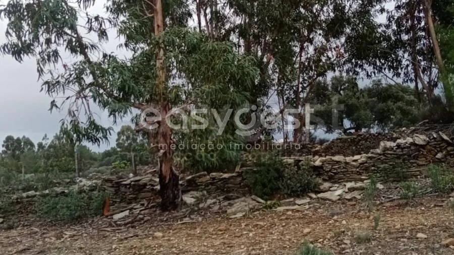 Terreno Agricola ou Rústico para Venda em Benquerenças