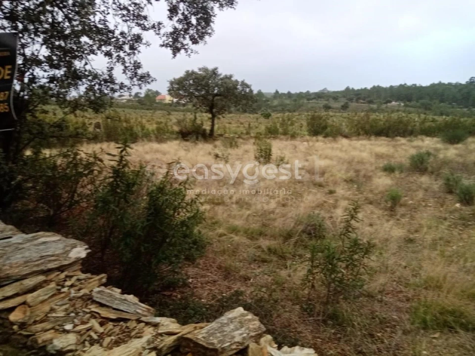 Terreno Agricola ou Rústico para Venda em Benquerenças Foto 1