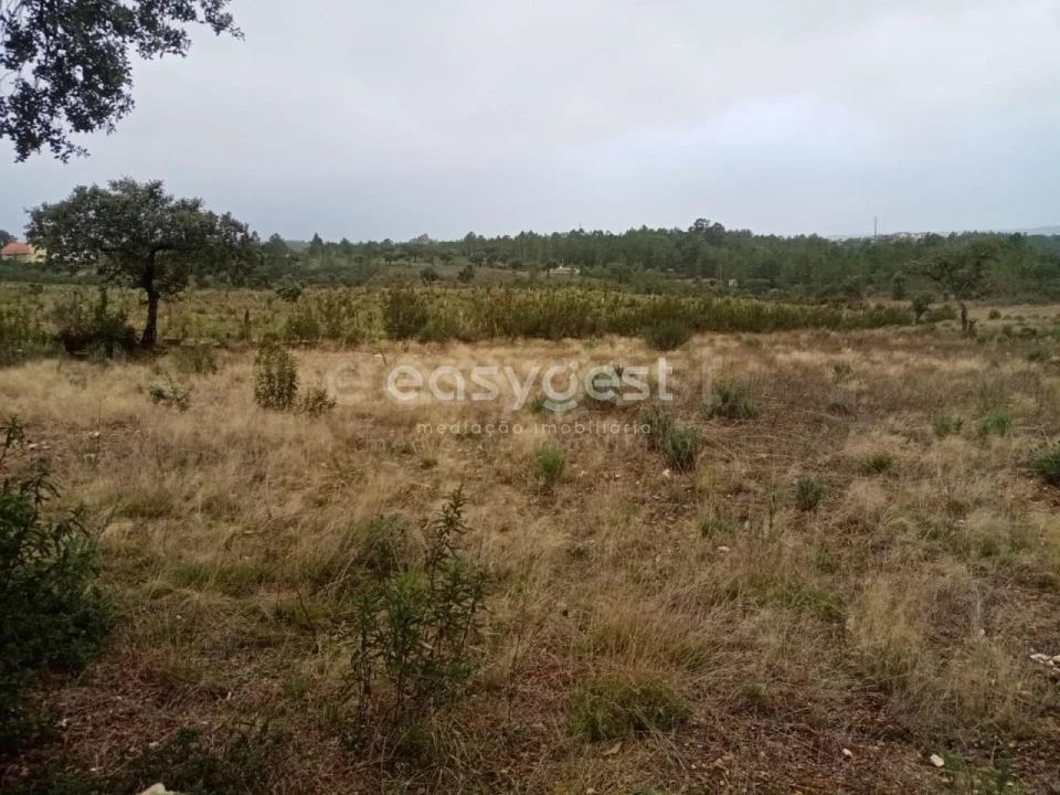 Terreno Agricola ou Rústico para Venda em Benquerenças Foto 3