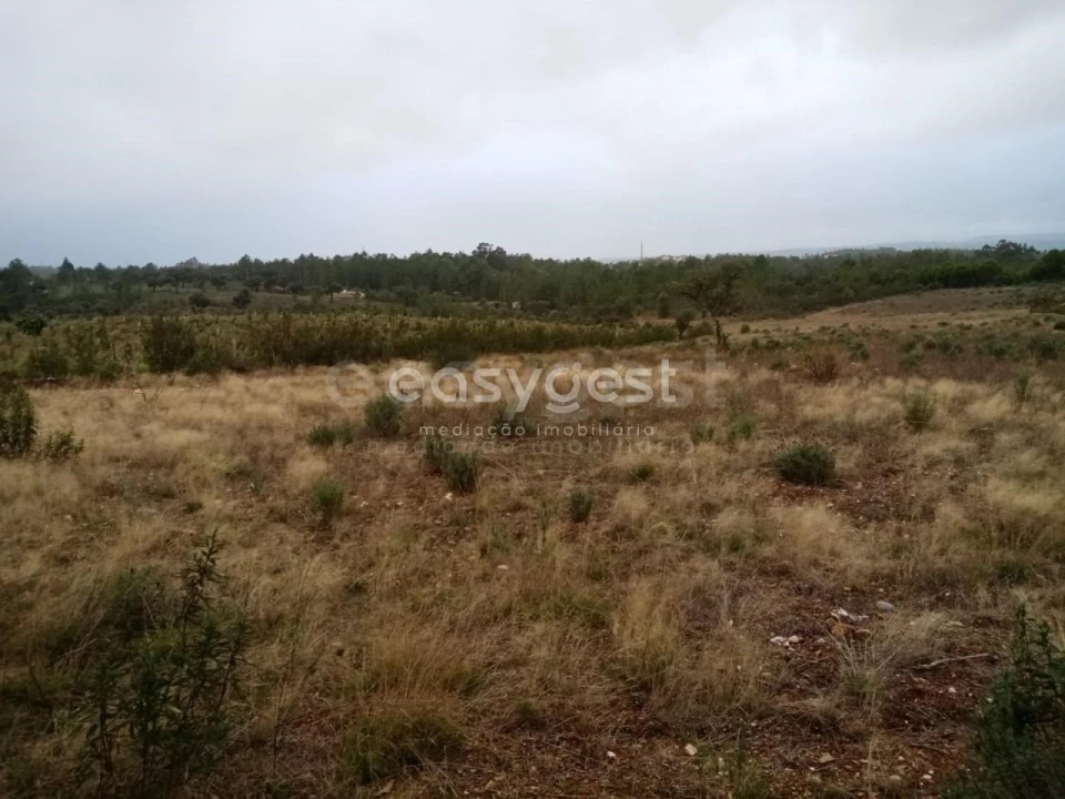 Terreno Agricola ou Rústico para Venda em Benquerenças Foto 9