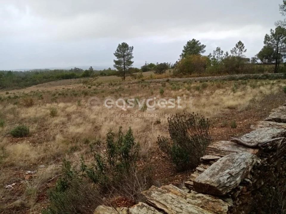 Terreno Agricola ou Rústico para Venda em Benquerenças Foto 10