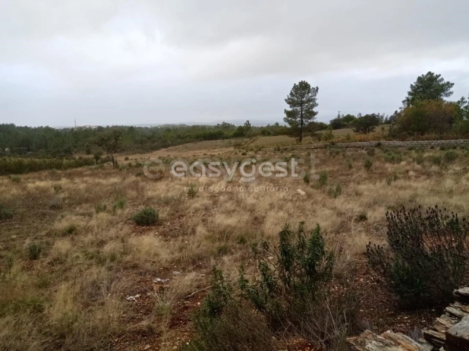 Terreno Agricola ou Rústico para Venda em Benquerenças Foto 13