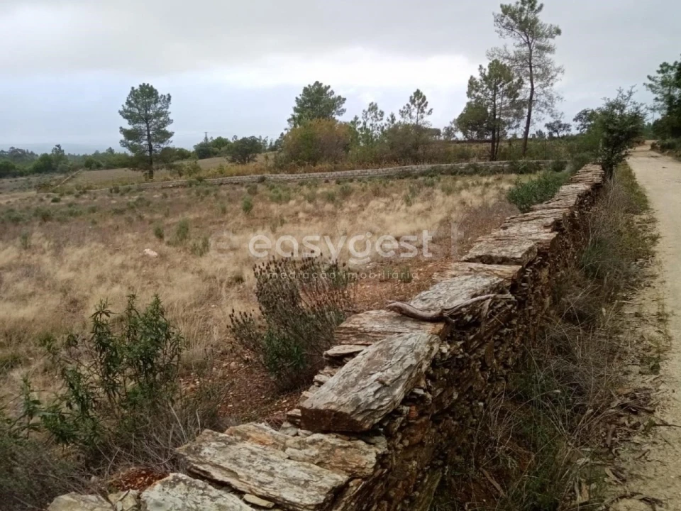 Terreno Agricola ou Rústico para Venda em Benquerenças Foto 14