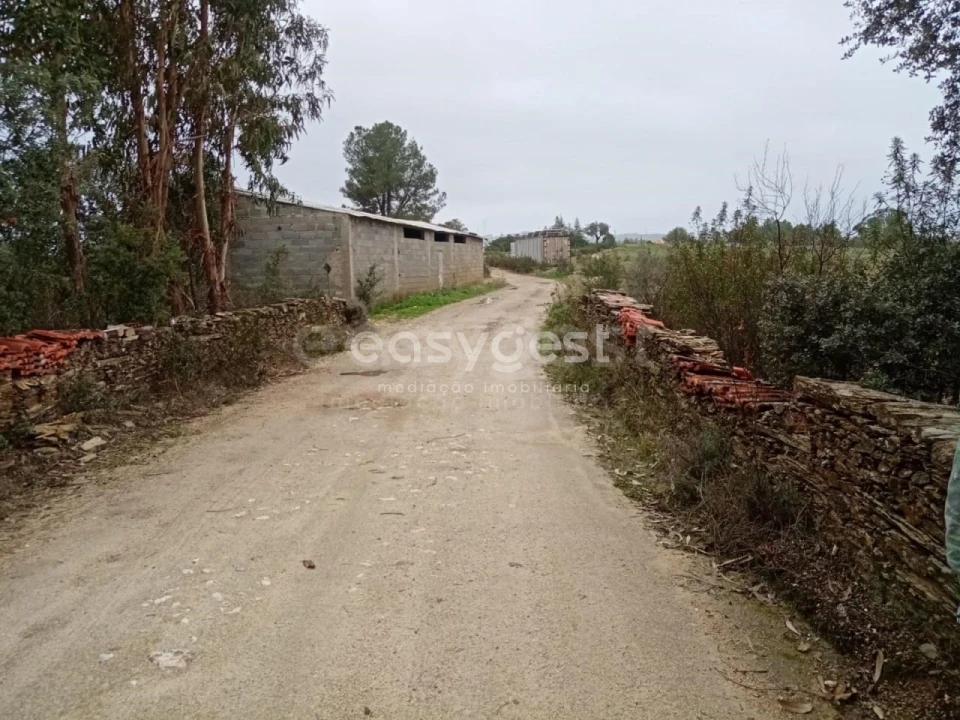 Terreno Agricola ou Rústico para Venda em Benquerenças Foto 16