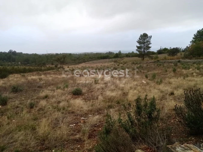 Terreno Agricola ou Rústico para Venda em Benquerenças Foto 2