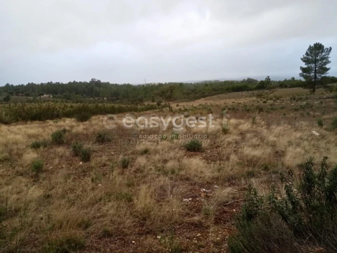 Terreno Agricola ou Rústico para Venda em Benquerenças Foto 4