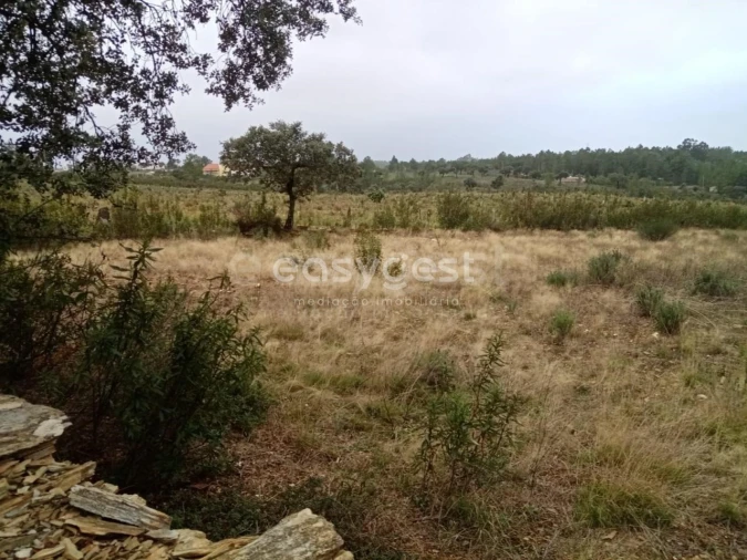 Terreno Agricola ou Rústico para Venda em Benquerenças Foto 6