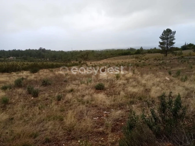 Terreno Agricola ou Rústico para Venda em Benquerenças Foto 7
