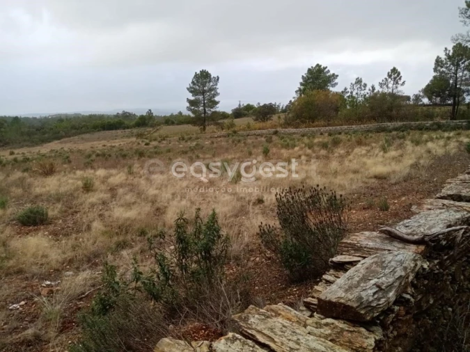 Terreno Agricola ou Rústico para Venda em Benquerenças Foto 10