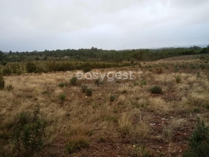Terreno Agricola ou Rústico para Venda em Benquerenças Foto 11