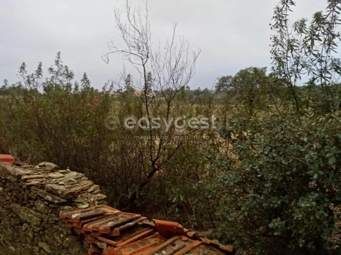 Terreno Agricola ou Rústico para Venda em Benquerenças Foto 12