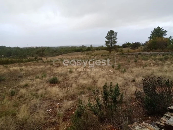 Terreno Agricola ou Rústico para Venda em Benquerenças Foto 13
