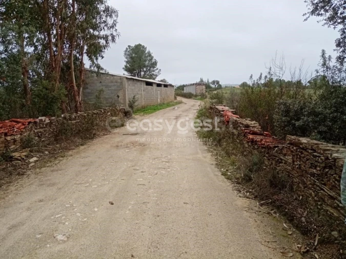 Terreno Agricola ou Rústico para Venda em Benquerenças Foto 16