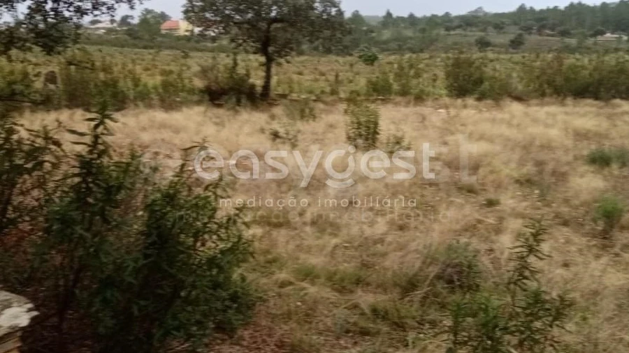 Terreno Agricola ou Rústico para Venda em Benquerenças