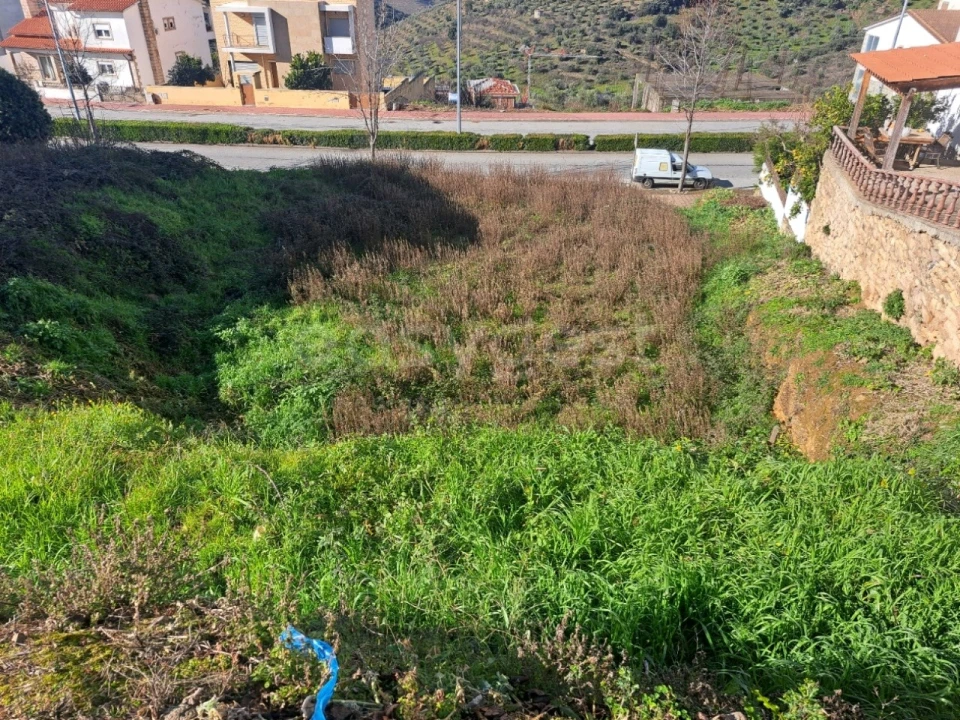 Terreno para Venda em Torre de Moncorvo Foto 3
