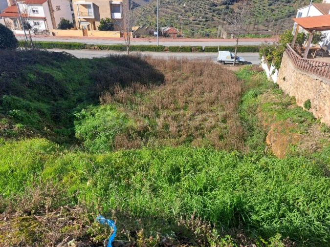 Terreno para Venda em Torre de Moncorvo Foto 3