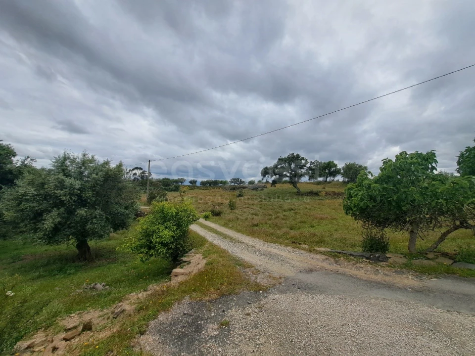 Moradia T1 para Venda em Ourique Foto 18