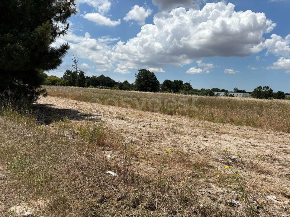 Terreno Misto para Venda em Pinhal Novo Foto 2