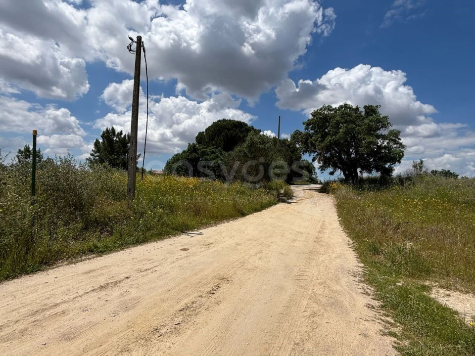 Terreno Misto para Venda em Pinhal Novo Foto 9