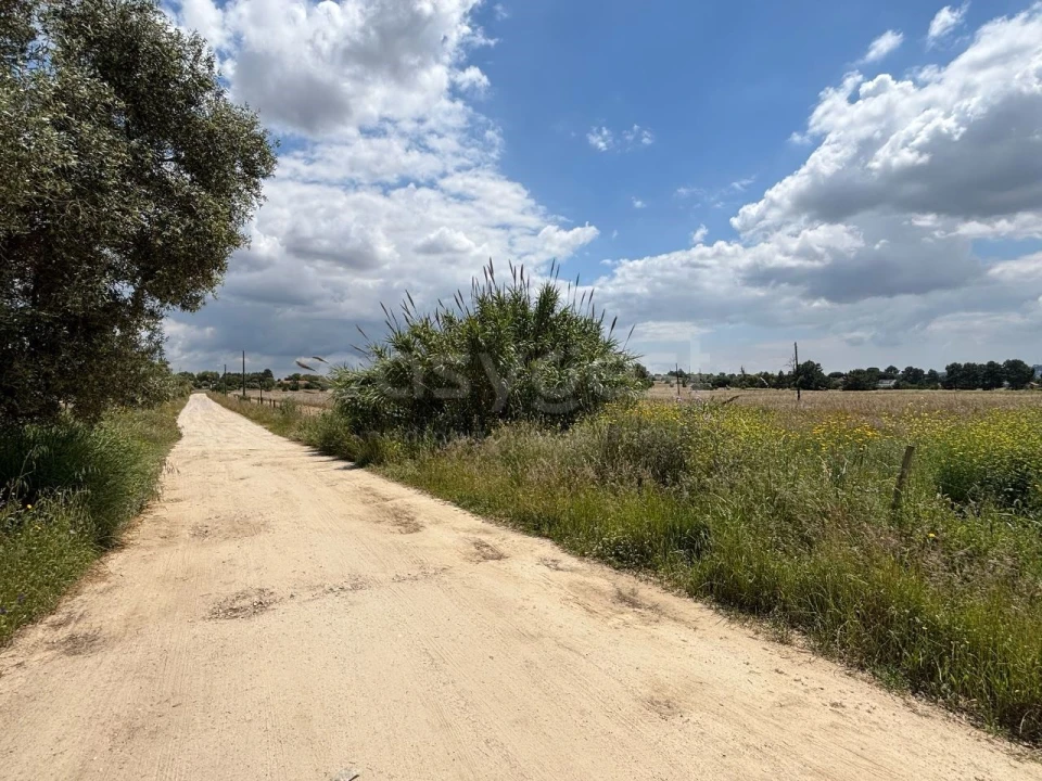 Terreno Misto para Venda em Pinhal Novo Foto 10