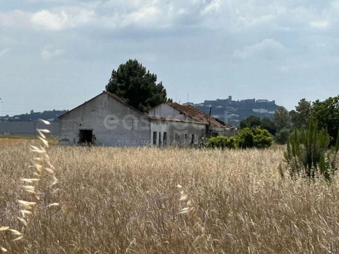 Terreno Misto para Venda em Pinhal Novo Foto 6